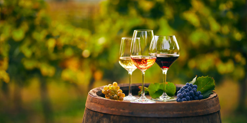 Best-wineries