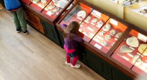 Young Girl Looking At Fossils In A Case At The Museum